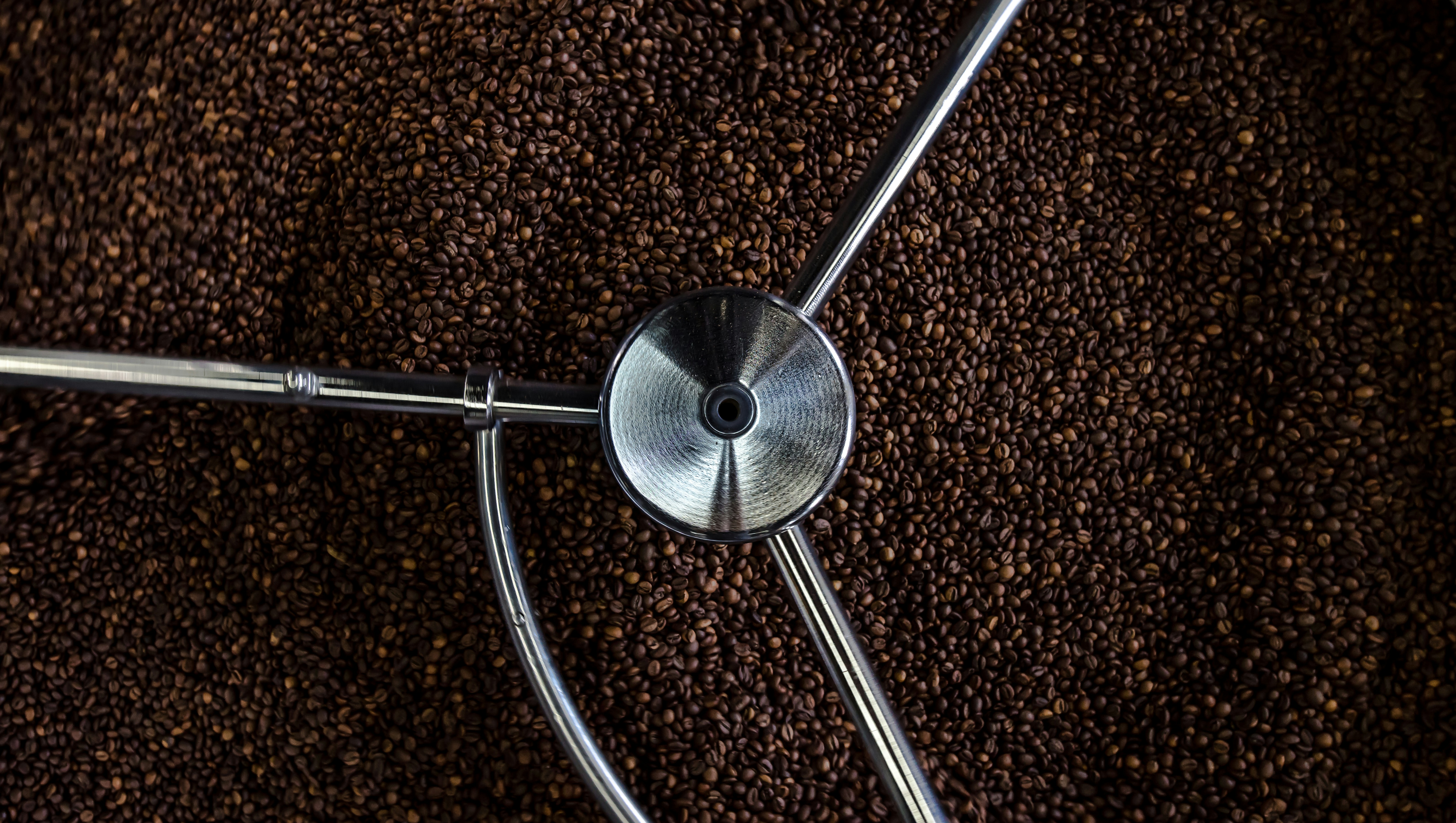 Vue de dessus des grains de café dans le bac de refroidissement avec bras mécaniques