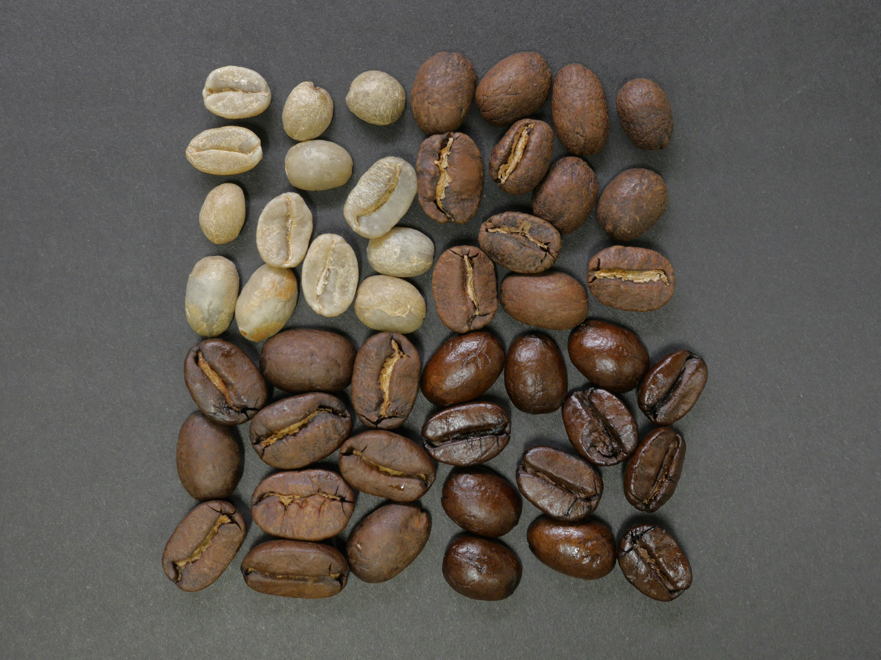 Grains de café vert et torréfiés à différents stades, vus de dessus